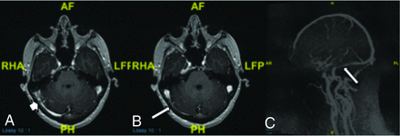 FIG 8.