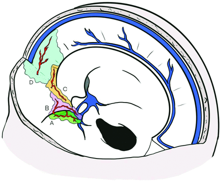 FIG 2.