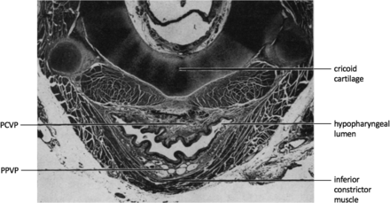 FIG 1.