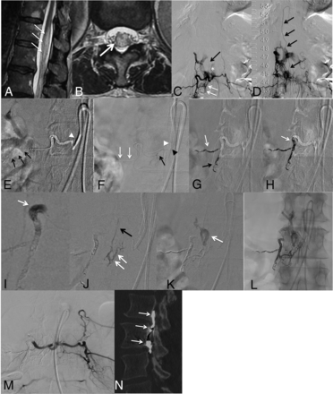 FIG 3.