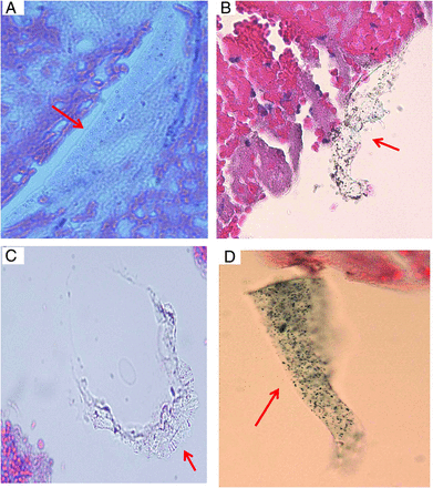 FIG 7.