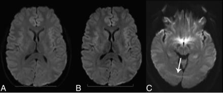 FIG 1.
