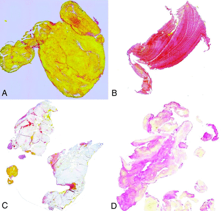 FIG 1.