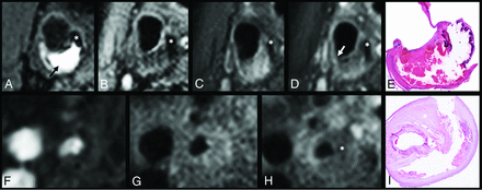 FIG 2.