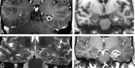 FIG 6.