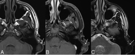 FIG 7.