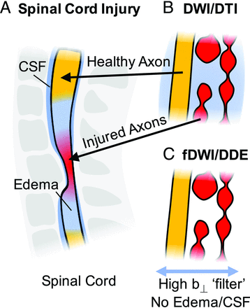 FIG 1.