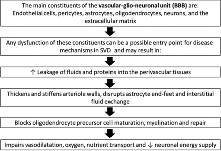 FIG 1.
