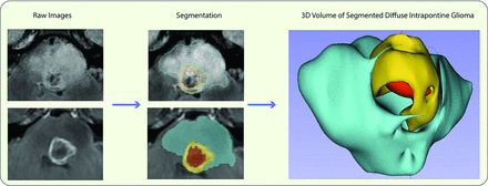 FIG 3.
