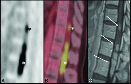 FIG 6.