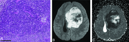 FIG 4.