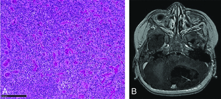 FIG 5.