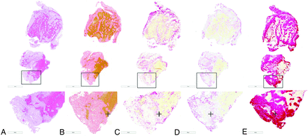 FIG 8.