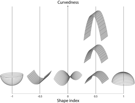 FIG 1.