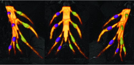 FIG 3.