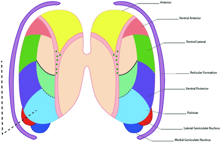 FIG 5.