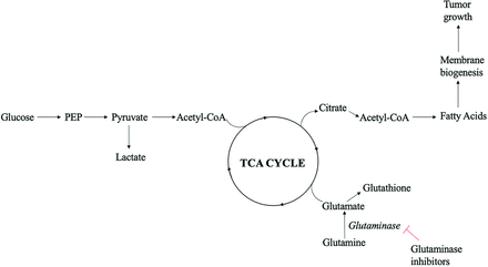 FIG 3.