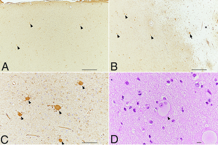 FIG 7.