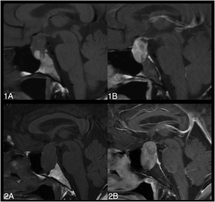 FIG 5.
