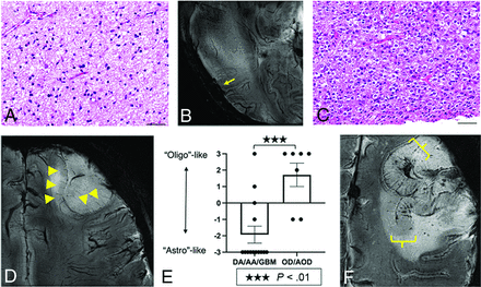FIG 2.