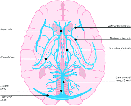 FIG 1.