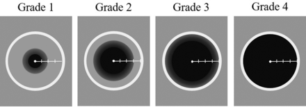 FIG 1.