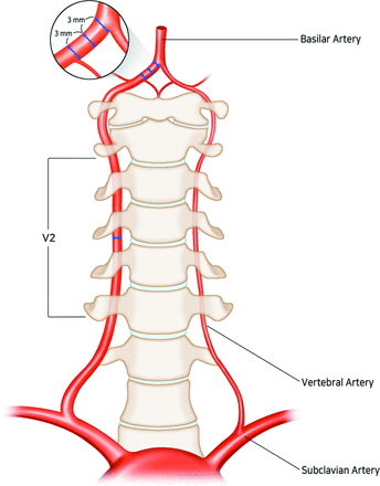 FIG 1.