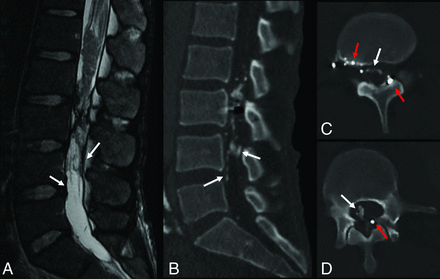 FIG 1.