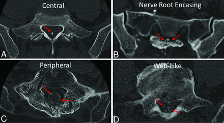 FIG 6.