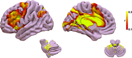 FIG 5.