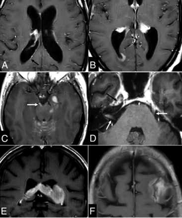 FIG 8.