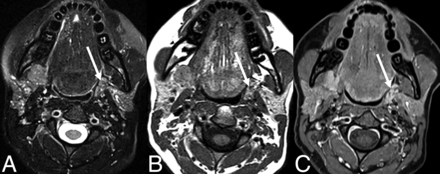 FIG 8.