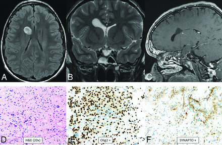 FIG 8.