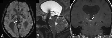 FIG 10.