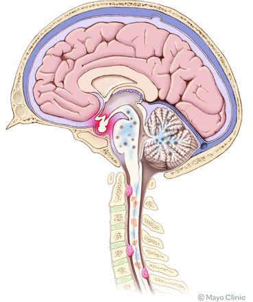 FIG 4.