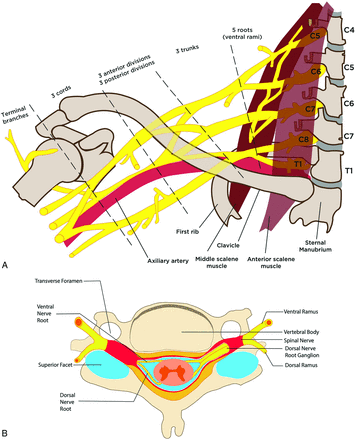 FIG 1.