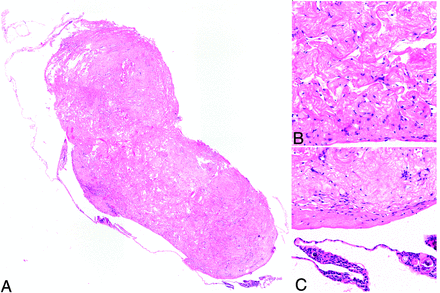 FIG 3.
