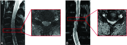 FIG 5.