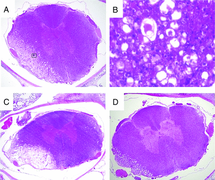 FIG 5.