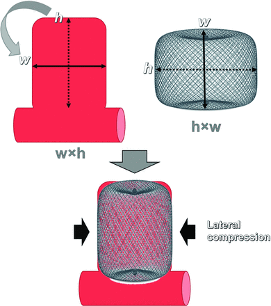 FIG 2.