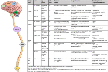 FIG 1.