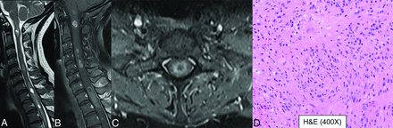 FIG 6.