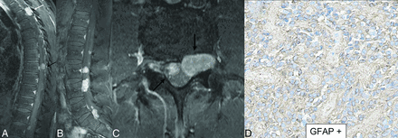 FIG 7.