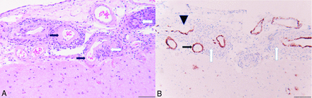 FIG 3.