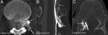 FIG 1.