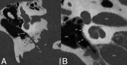 FIG 7.
