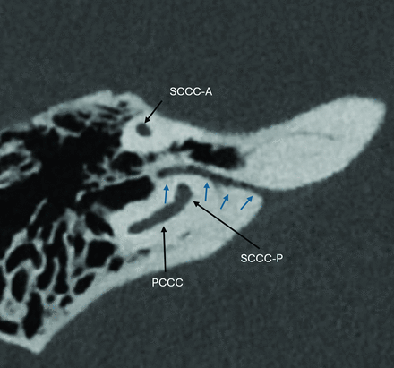 FIG 8.