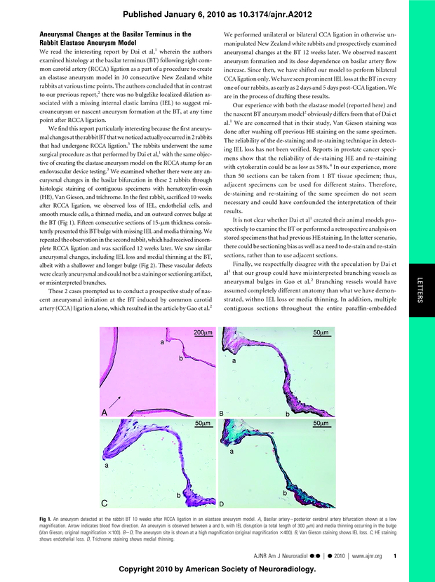 PDF extract preview